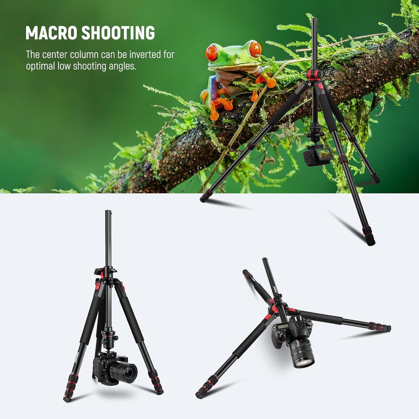 Neewer N284L+G0 79" Camera Tripod Monopod