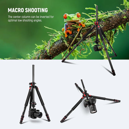 Neewer N284+G0 72" Camera Tripod Monopod w/ Ball Head