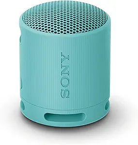 Sony SRS-XB100 Portable Wireless Bluetooth Speaker (Renewed)