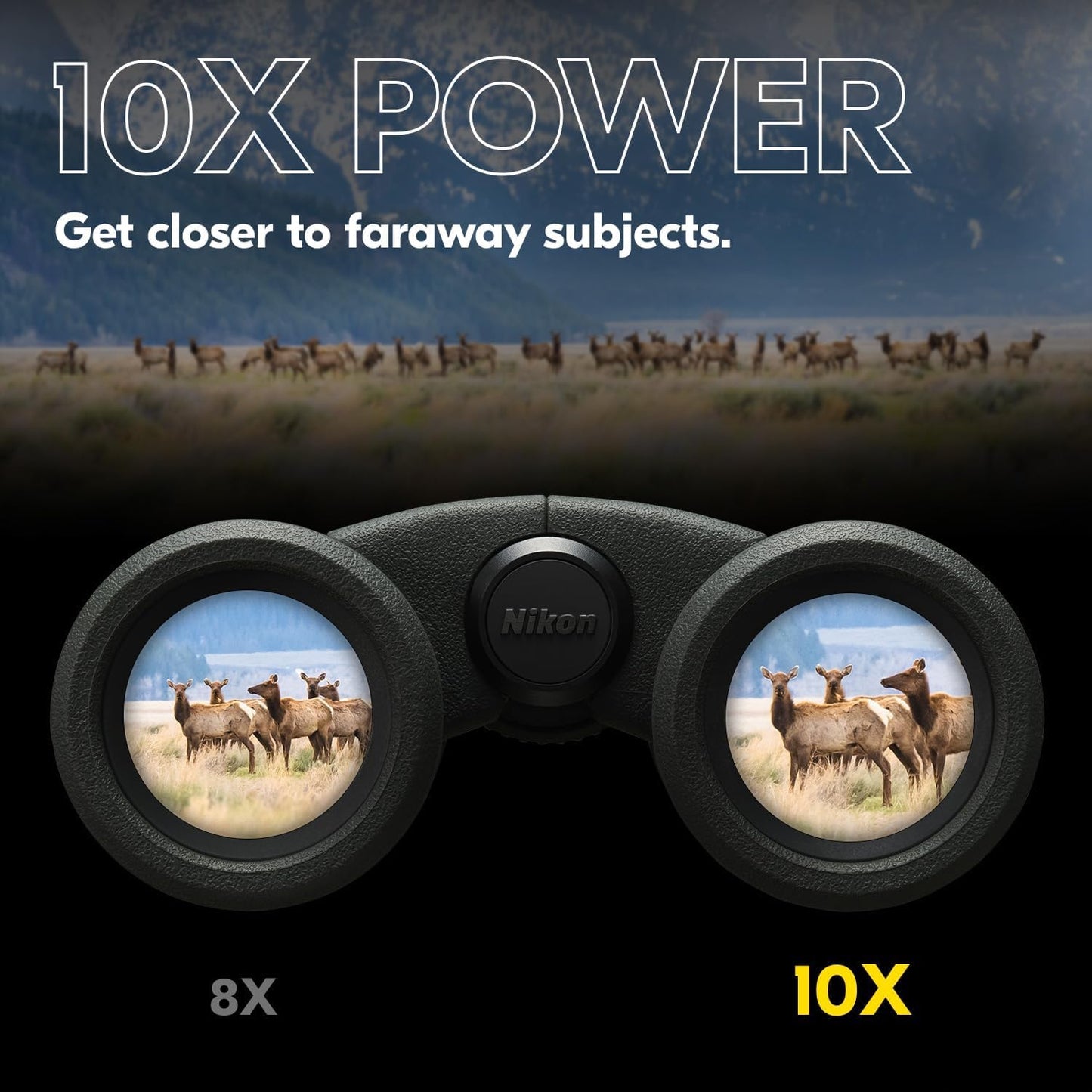 Nikon 16775 PROSTAFF P3 10x30 Waterproof Binoculars