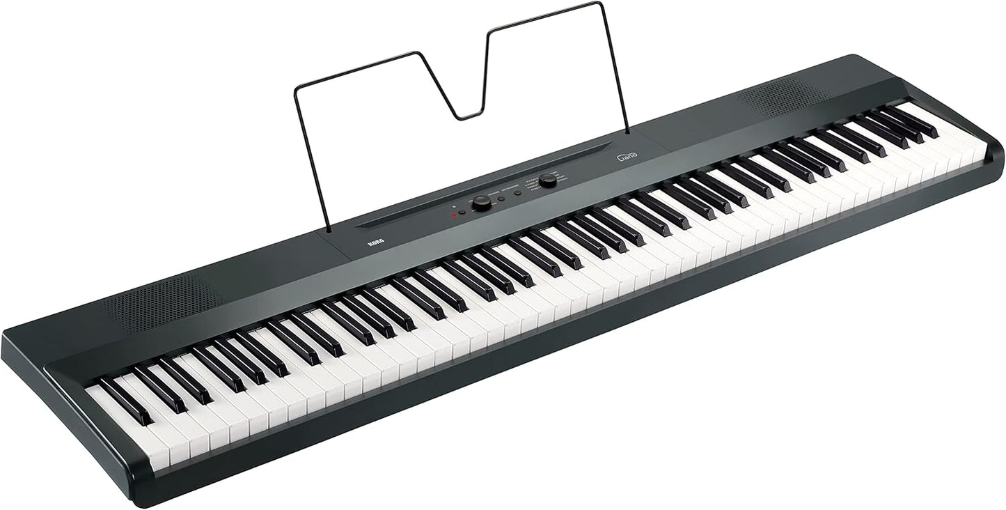 Korg L1MGRAY 88-Key Portable Digital Piano Gray