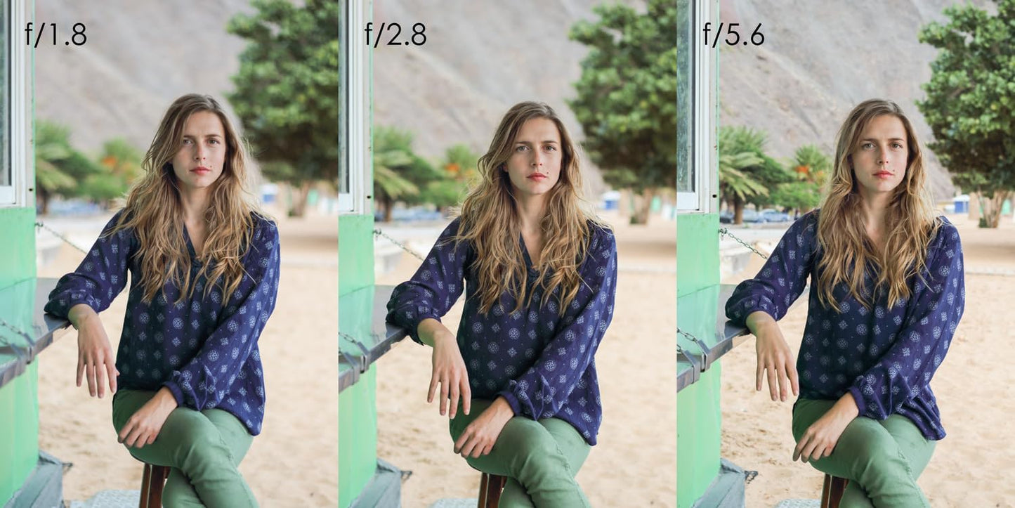 Canon 0570C005AA EF 50mm f/1.8 STM Lens