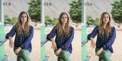 Canon 0570C005AA EF 50mm f/1.8 STM Lens