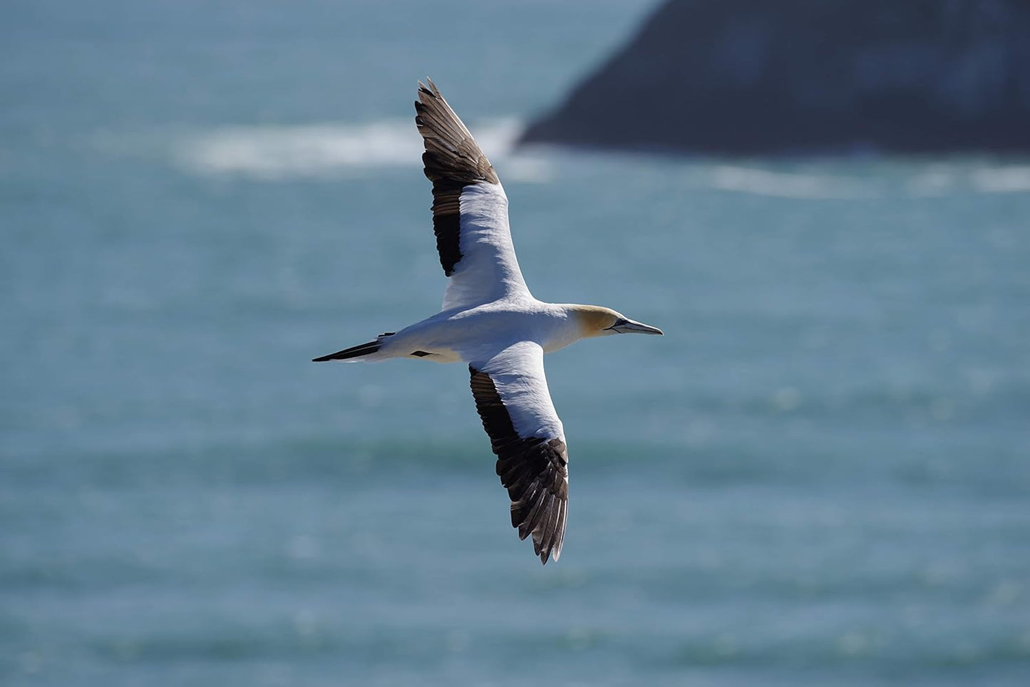 Pentax K-1 Mark II 36MP DSLR with 28-105mm Lens