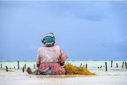 Nikon JMA710DA NIKKOR Z 24-200mm VR Mirrorless Lens