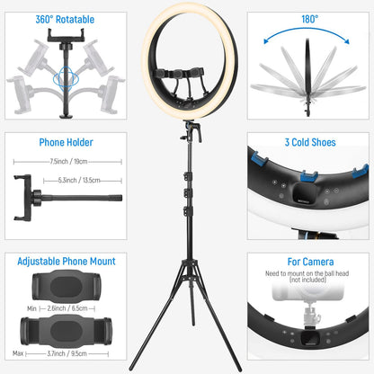 Neewer 10102970 19" Ring Light with Stand & Phone Holders