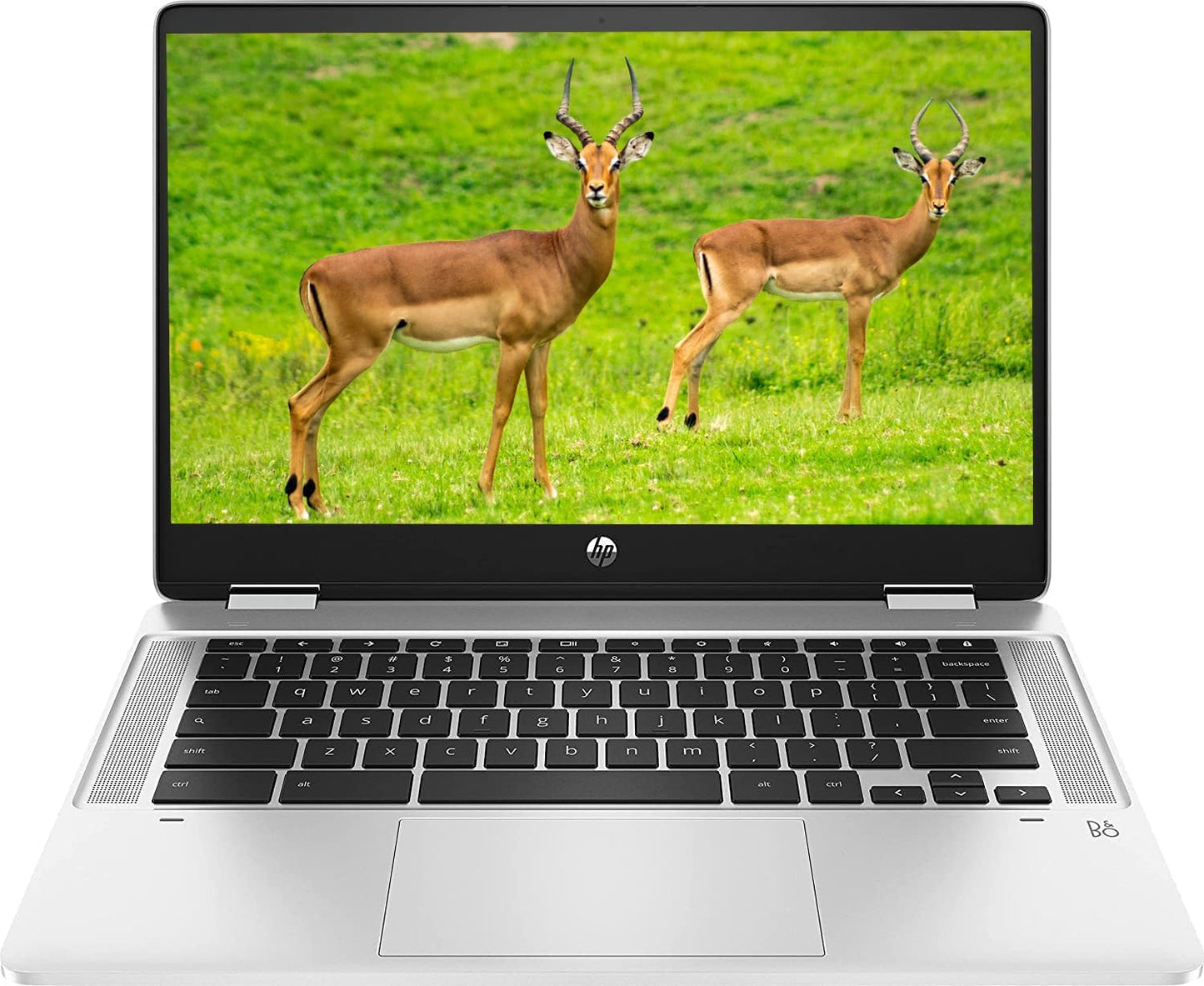 HP 14" Chromebook: HD Touchscreen, 4GB, 64GB SSD (Renewed)