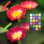 Datacolor SCK200 SpyderCHECKR 24 Camera Color Calibration