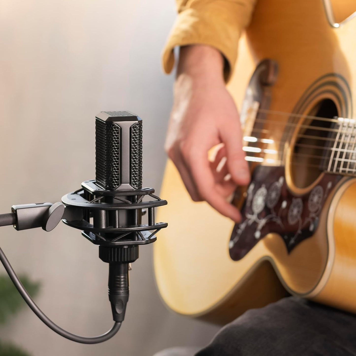 Lewitt LCT 240 Pro Microphone Value Pack with Shock Mount