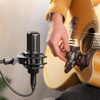 Lewitt LCT 240 Pro Microphone Value Pack with Shock Mount