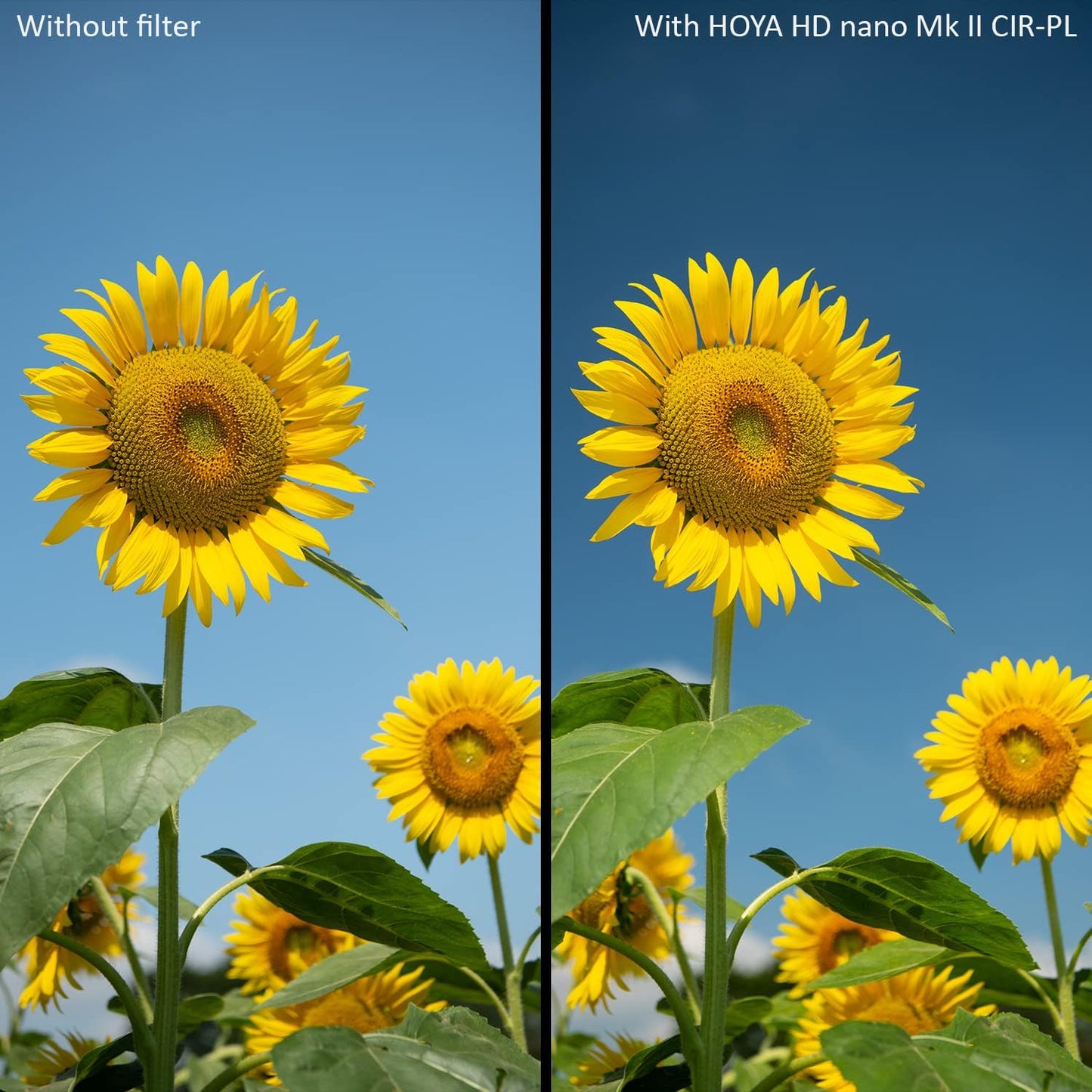 Hoya YYP4155 55mm HD Nano MkII Circular Polarizing Filter