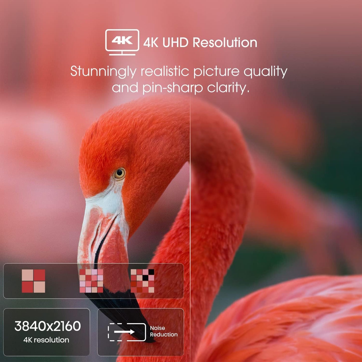 Hisense 43A6H 43-Inch 4K UHD Google Smart TV - Dolby Vision