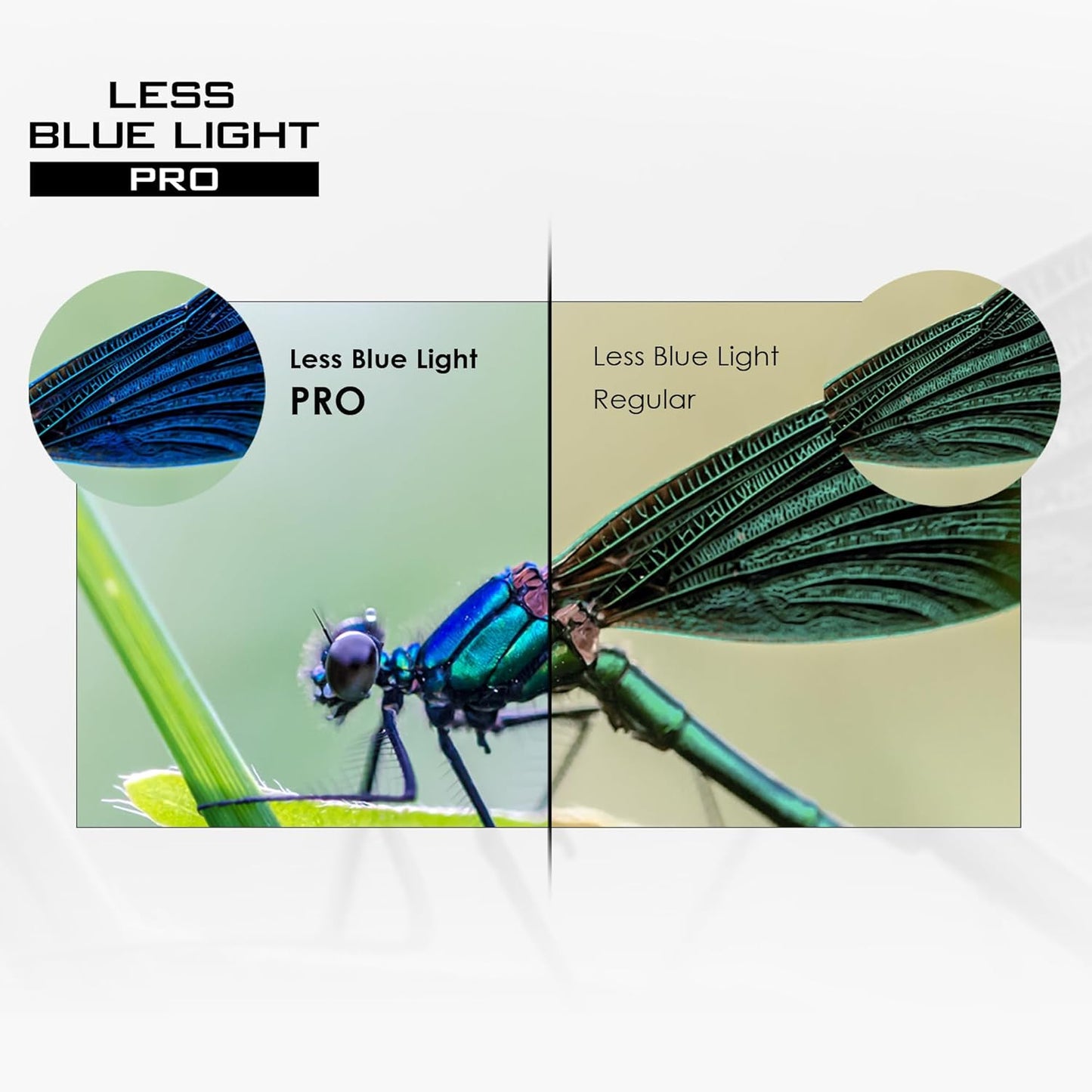 MSI PRO MP243XP 24" 100Hz FHD IPS Monitor