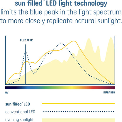 GE 93129184 Sun Filled 60W LED Bulb - Soft White
