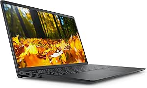 Dell 3510 Inspiron 15.6" HD Laptop Celeron 8GB/1TB HDD