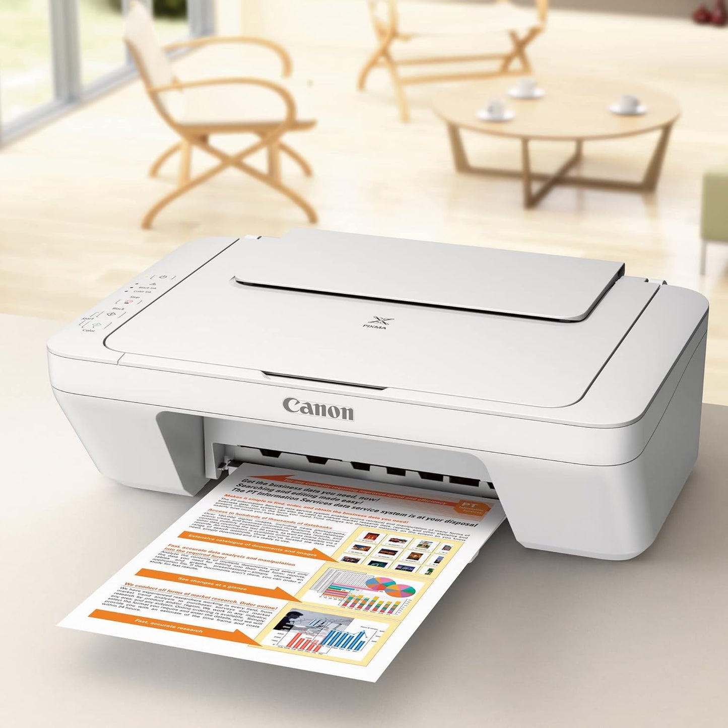 Canon MG2522 PIXMA All-in-One Color Inkjet Printer