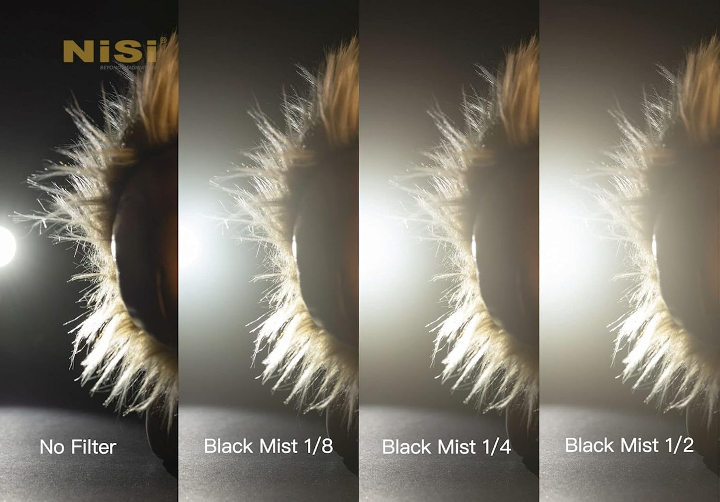 NiSi 49mm Black Mist 1/8 Lens Filter - Diffusion Effect