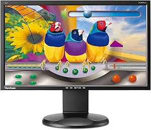 ViewSonic VG2028WM 20-Inch Ergonomic Widescreen Monitor — main product image