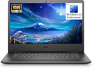 Dell 14 3400 Vostro Business Laptop: i5, Windows 11 Pro