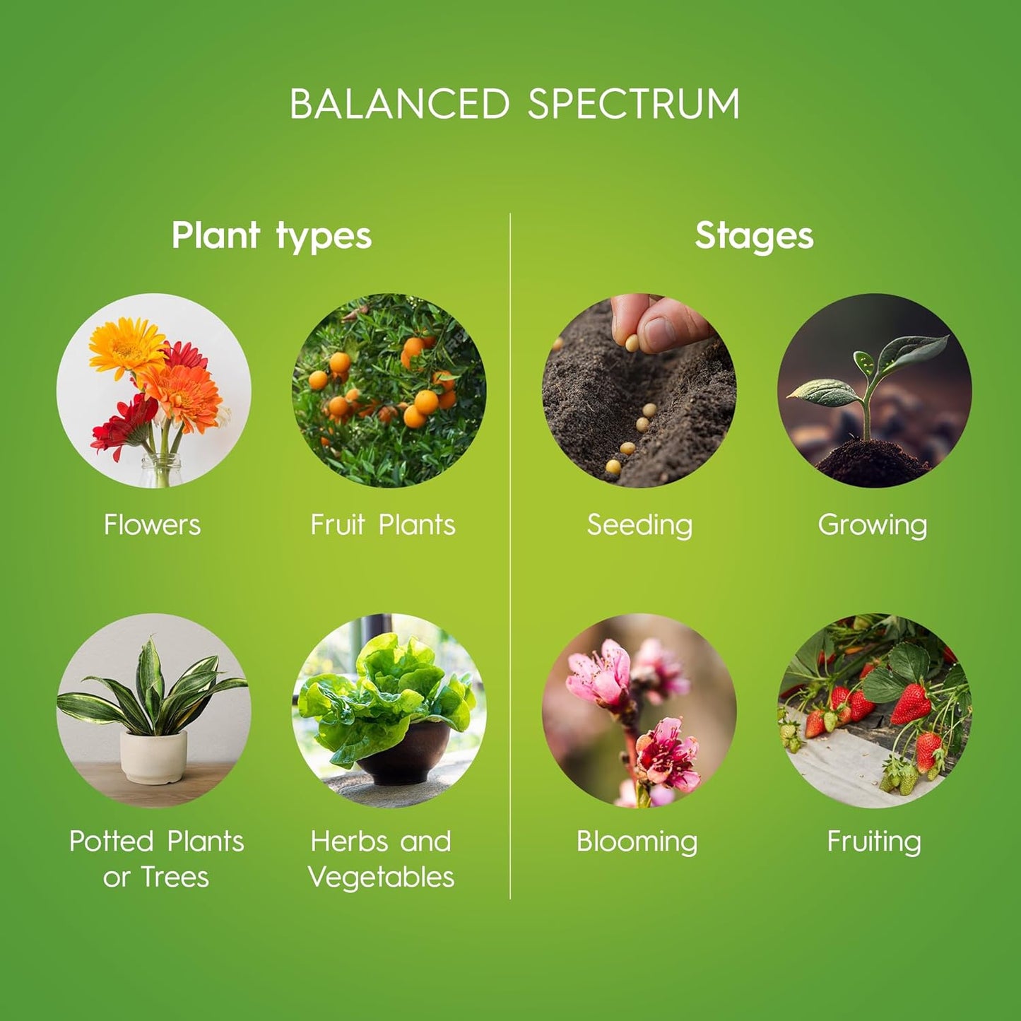 GE 93129193 6-Pack T8 LED Grow Lights for Indoor Plants