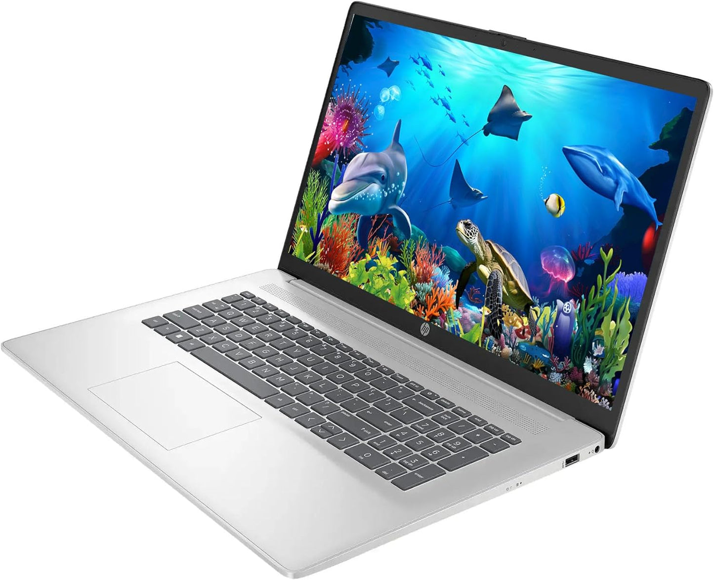 HP HP 17 Ryzen 5 FHD Laptop 32GB RAM 1TB SSD