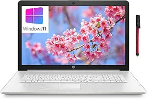 HP 17-dy 17.3