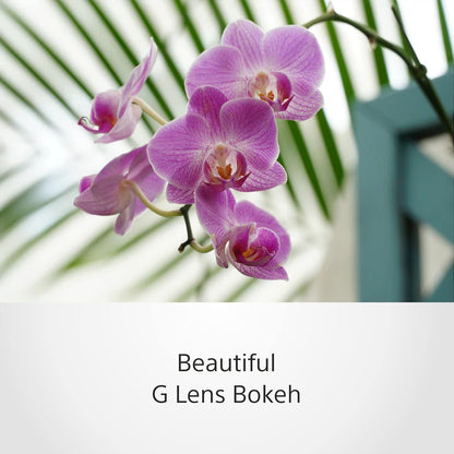 Sony SELP18105G E PZ 18-105mm F4 G OSS Power Zoom Lens