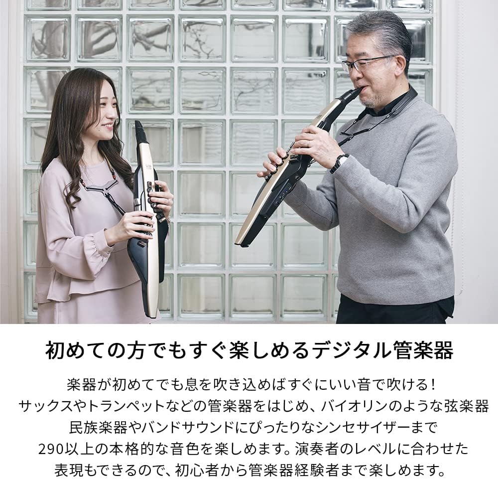 Roland AE-20 Aerophone Digital Wind Instrument Black