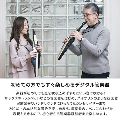 Roland AE-20 Aerophone Digital Wind Instrument Black