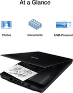 Epson B11B267201-N Perfection V19 II Flatbed Scanner (Renewed)