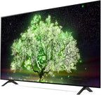 LG E53LGOLED48A1PUA 48