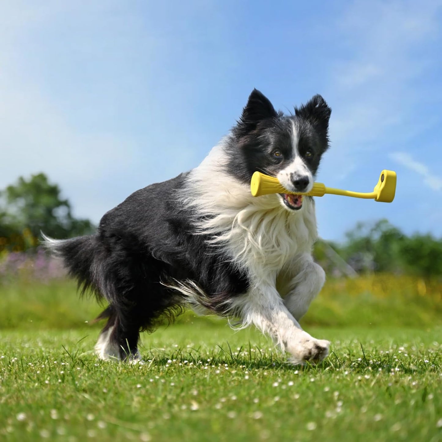Insta360 CINSBBKP GO 3 Pet Chew Selfie Stick