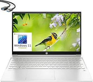 HP 15 12th Gen i7-1255U 64GB RAM 1TB SSD Laptop