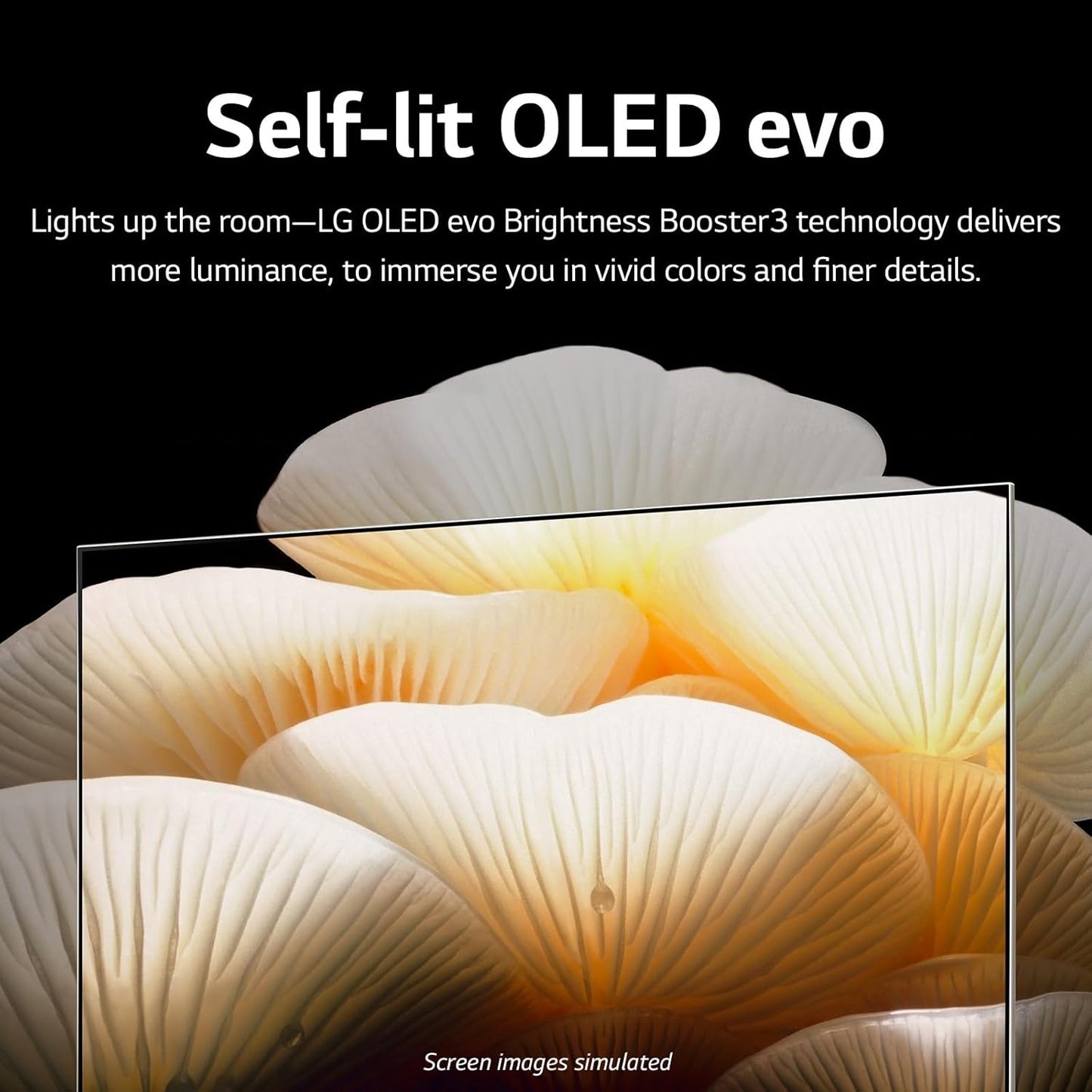 LG 48LX1QPUA 48-Inch Posé Series 4K OLED TV