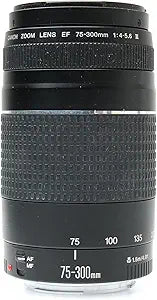 Canon 6473A003 EF 75-300mm Telephoto Zoom Lens
