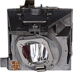 ViewSonic RLC-109 Projector Replacement Lamp