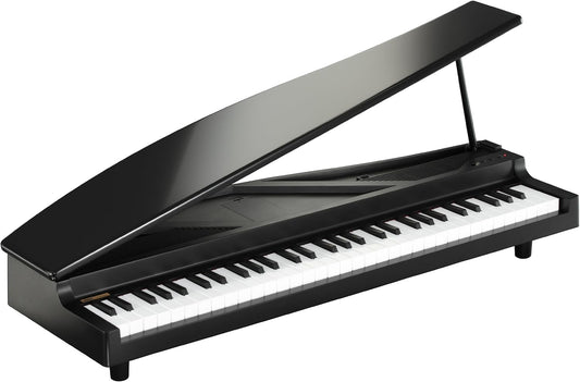 Korg MICROPIANOBK 61-Key Miniature Grand Piano