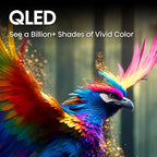 Hisense 85QD7N 85-Inch QLED 4K Google Smart TV 144Hz