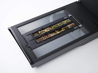 Canon CanoScan 9000F MKII Photo/Film Scanner (Renewed)