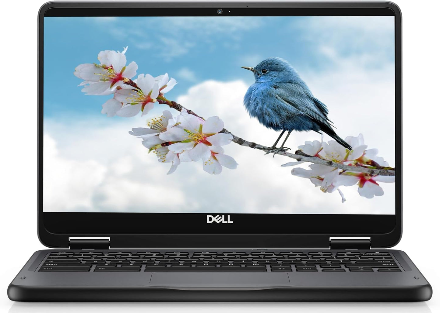 Dell 11" Convertible Touchscreen Chromebook Renewed