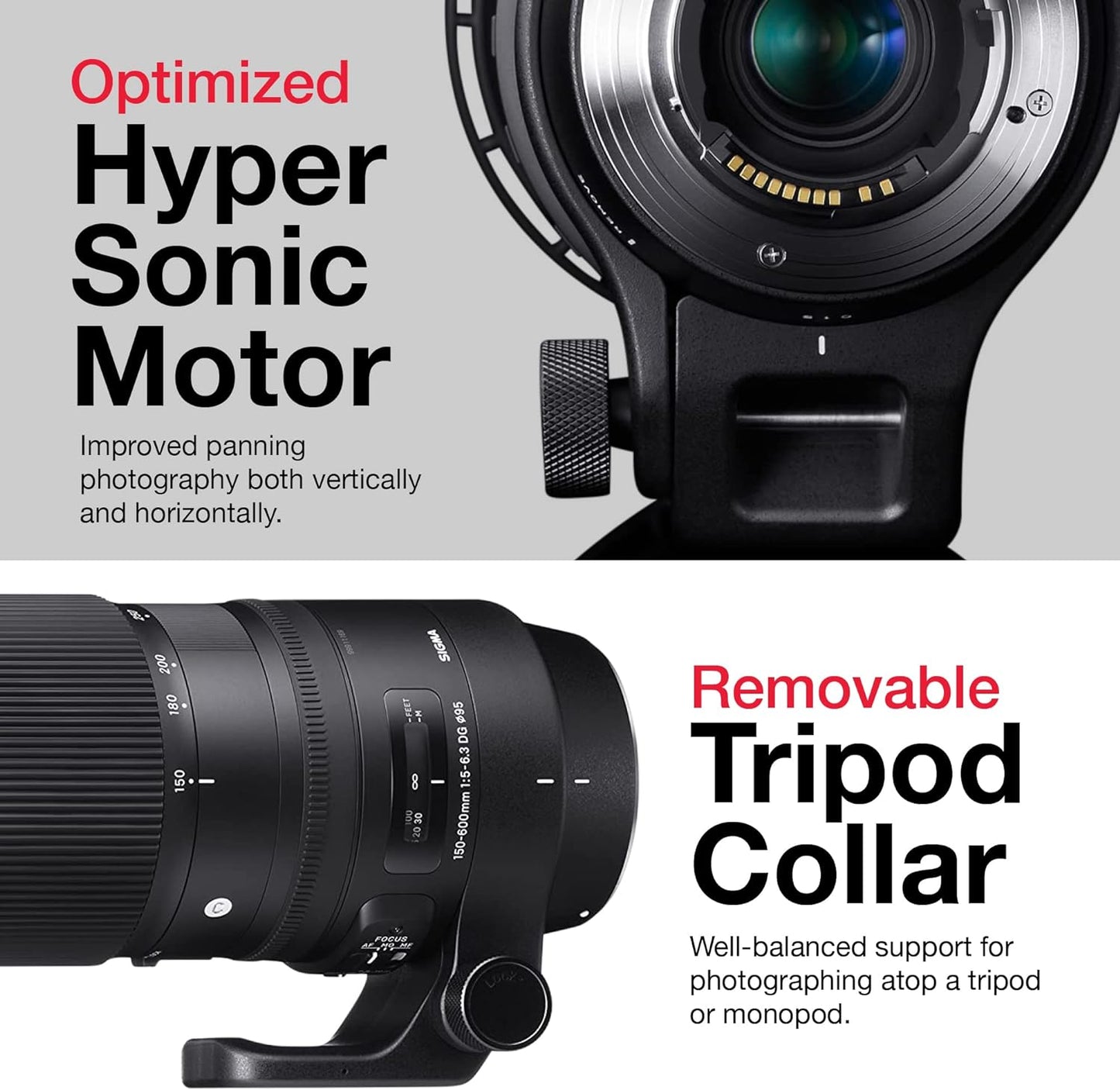 Sigma 150-600mm Contemporary Lens for Canon Bundle