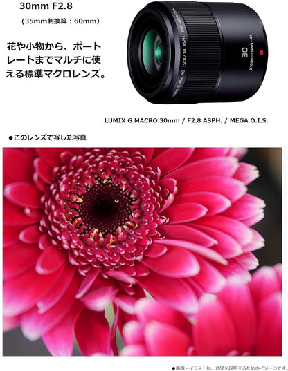 Panasonic H-HS030 Lumix G 30mm Macro Lens
