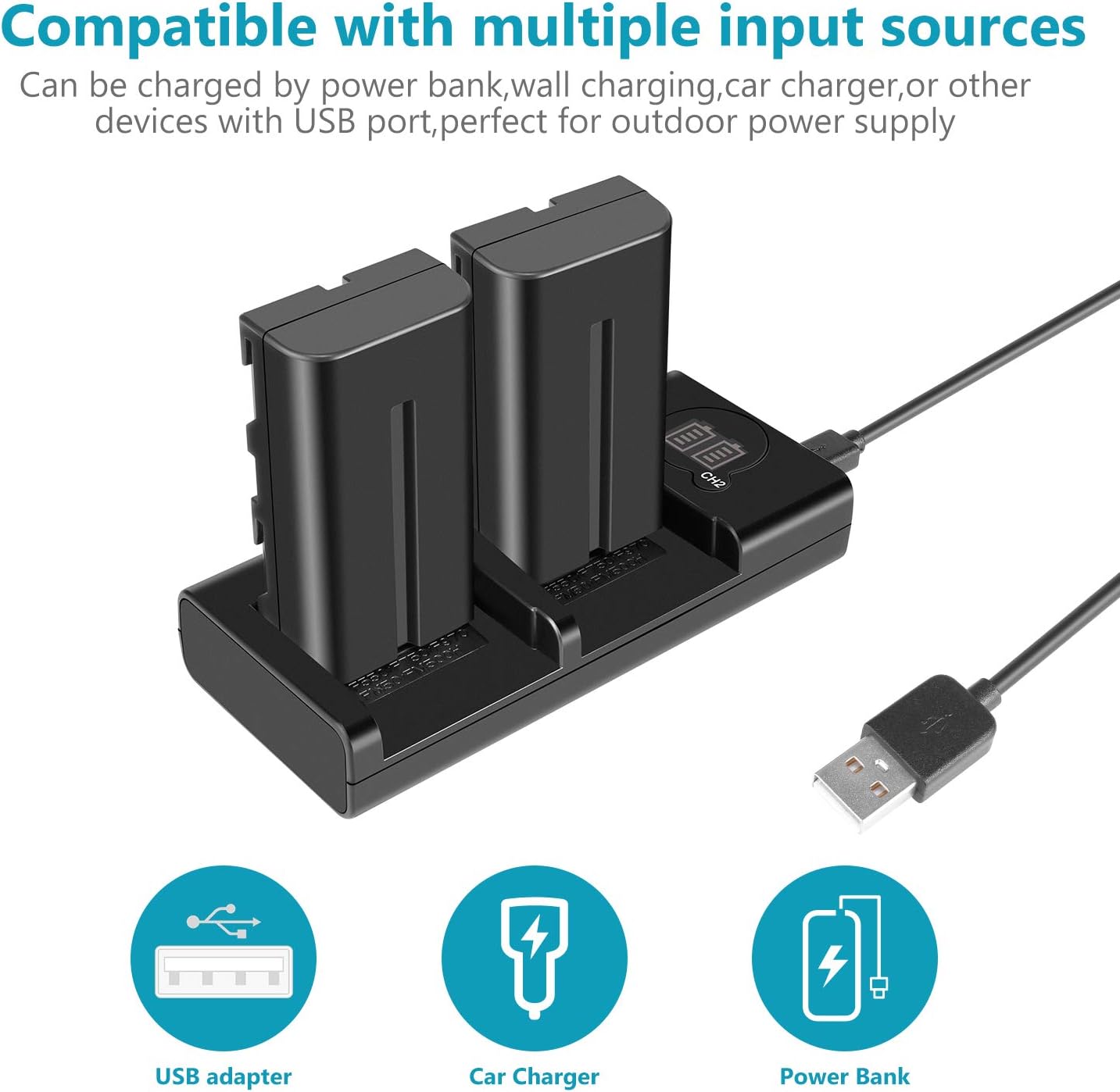 Neewer 10095059 NP-F550 Battery Charger Set