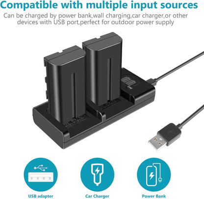 Neewer 10095059 NP-F550 Battery Charger Set