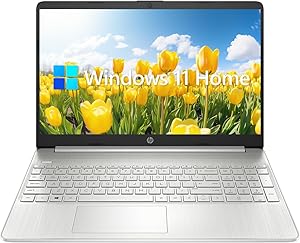 HP TPN-Q230 15.6" HD Ryzen 3 32GB RAM 1TB SSD Laptop