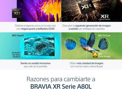 Sony CRT2SNXR55A80L 55" 4K OLED Google TV: BRAVIA XR A80L (Renewed)
