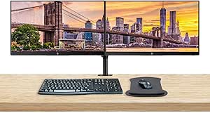 HP ASIHLAMZ275 Z22n G2 22" Dual Monitor Bundle