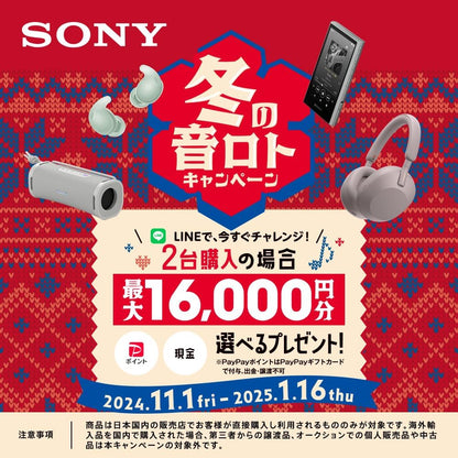 Sony WH-CH720N BC Noise Canceling Bluetooth Headphones - Black