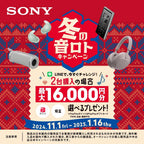 Sony WF-C700N BZ Wireless Noise-Canceling Black Earbuds