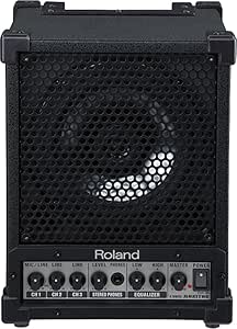 Roland CM-30 Cube Monitor/PA 6.5-Inch Coaxial Speaker — main product image